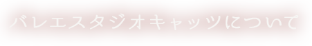 スタジオキャッツについて